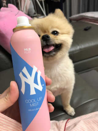 berryjjung님이 올린 리뷰 사진 1