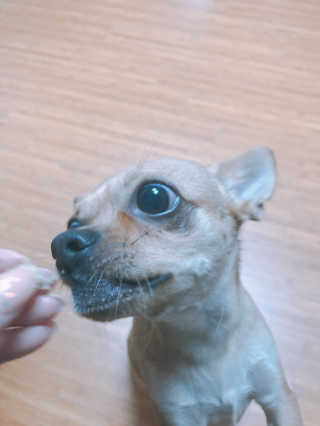 유르율님이 올린 리뷰 사진 3