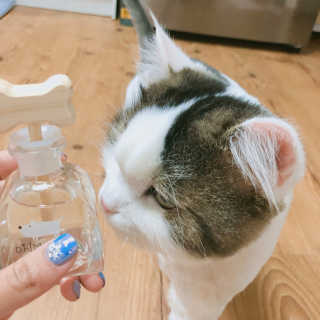 오!마이실리 오마이실리 반려동물 디퓨저 — 5점을 준 리뷰어가 2018년 6월 올린 사용 사진