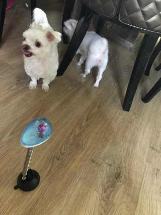 농이님이 올린 리뷰 사진 2