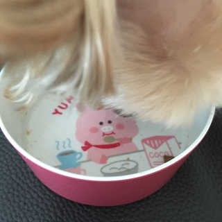 보보짱님이 올린 리뷰 사진 4
