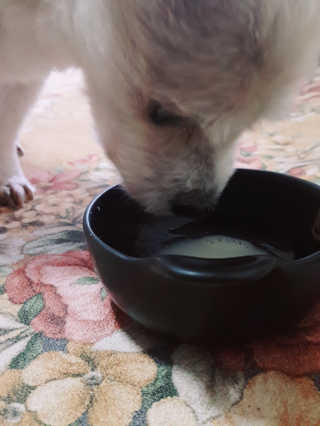 moomoon님이 올린 리뷰 사진 3