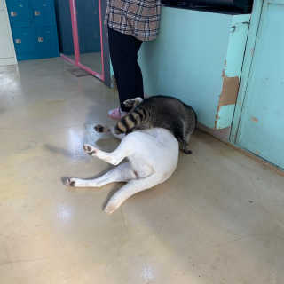 djejne님이 올린 리뷰 사진 3