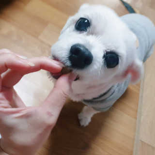 은혜eh님이 올린 리뷰 사진 1