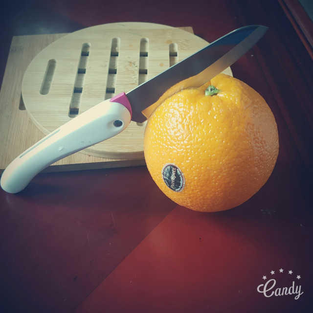도루코 마이셰프 포켓 피크닉 접이식 과도 리뷰 사진