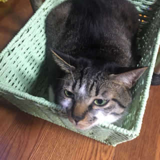 다니당근님이 올린 리뷰 사진 1