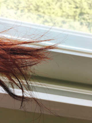 식품연구소님이 올린 리뷰 사진 3