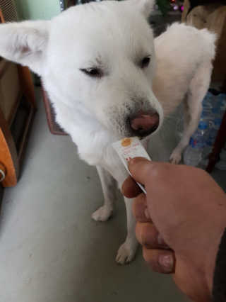 Jenny님이 올린 리뷰 사진 2