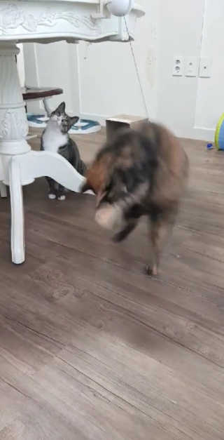 피안화님이 올린 리뷰 사진 1