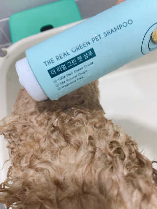 랑이님이 올린 리뷰 사진 2