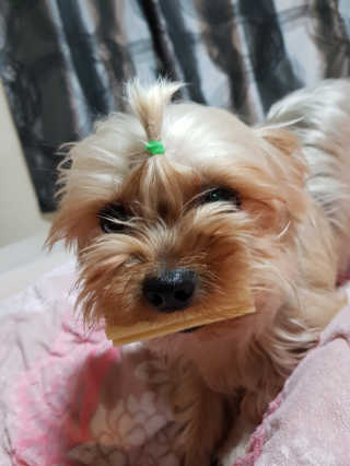 영이님이 올린 리뷰 사진 3