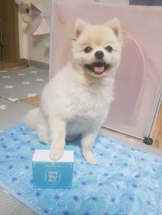 뚱이땅콩맘님이 올린 리뷰 사진 2