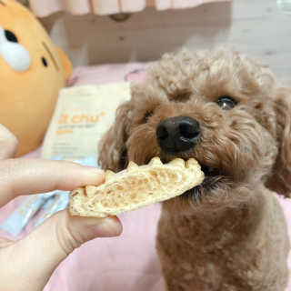 파이님이 올린 리뷰 사진 1