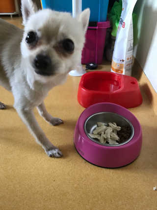 박주희님이 올린 리뷰 사진 2