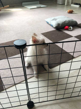 샤맘님이 올린 리뷰 사진 4