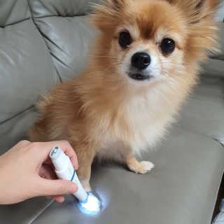 뽀으리이님이 올린 리뷰 사진 3