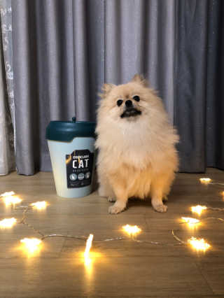 berryjjung님이 올린 리뷰 사진 2