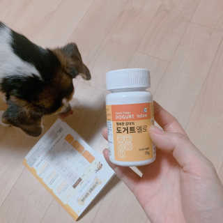 July님이 올린 리뷰 사진 1