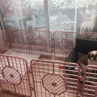 여니별이님이 올린 리뷰 사진 1