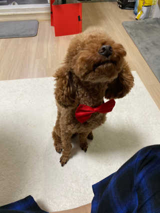 온디님이 올린 리뷰 사진 1