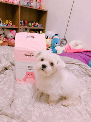 지니버미님이 올린 리뷰 사진 1