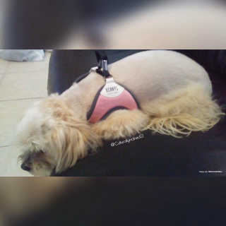 Multirican22님이 올린 리뷰 사진 2