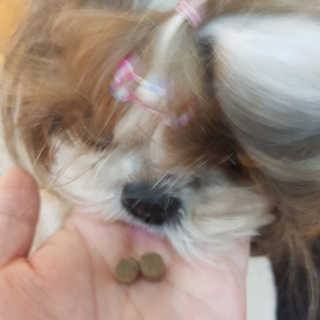 민준맘님이 올린 리뷰 사진 2