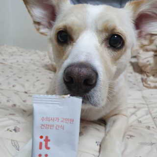 엘리님이 올린 리뷰 사진 1