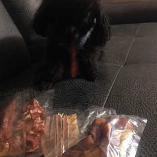 [펫토리아] 뚝딱뚝딱 400g 강아지 간식 베스트5종 — 5점을 준 리뷰어가 2019년 1월 올린 사용 사진