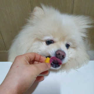 치리짱님이 올린 리뷰 사진 3