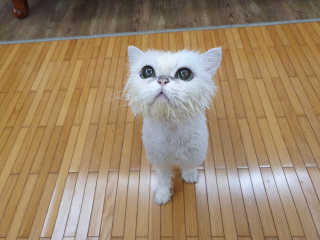 가원님이 올린 리뷰 사진 2