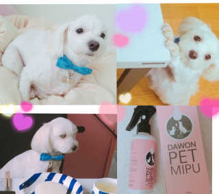 샤넬님이 올린 리뷰 사진 1