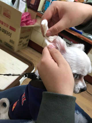 은찡님이 올린 리뷰 사진 1
