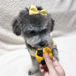 바니님이 올린 리뷰 사진 4