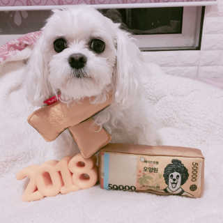 가연님이 올린 리뷰 사진 1