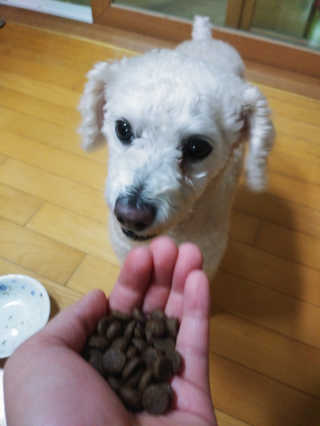 이린님이 올린 리뷰 사진 3