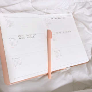 리훈 [날짜형7~12월]2019이야기다이어리 데일리 볼펜셋트 — 5점을 준 리뷰어가 2019년 5월 올린 사용 사진