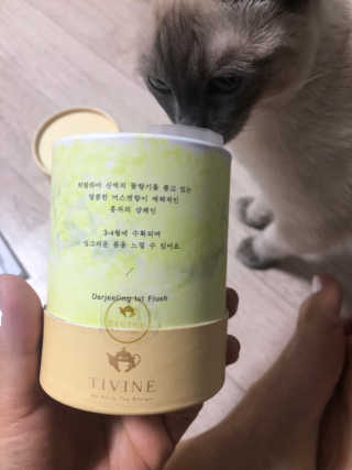 Canteen님이 올린 리뷰 사진 2