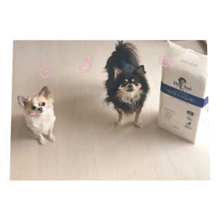 은쓸님이 올린 리뷰 사진 1