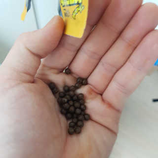 SangKiSon님이 올린 리뷰 사진 2