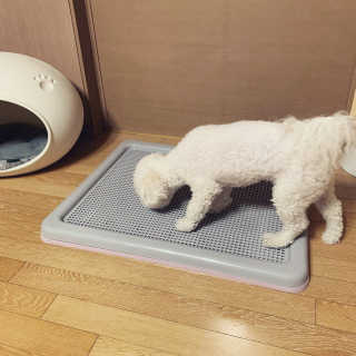 소유님이 올린 리뷰 사진 3