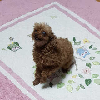HyunHeeKim님이 올린 리뷰 사진 4