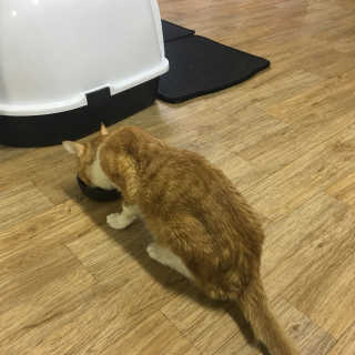 장미님이 올린 리뷰 사진 1
