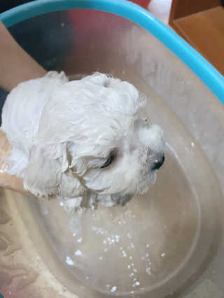 JENNY님이 올린 리뷰 사진 4