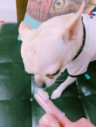 김아름님이 올린 리뷰 사진 4