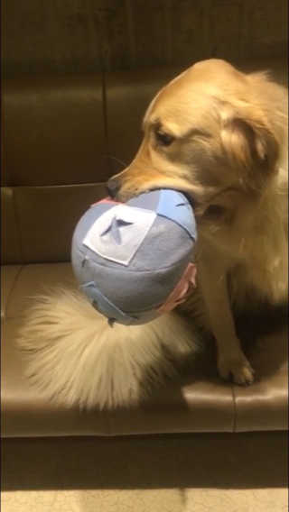 민정님이 올린 리뷰 사진 3