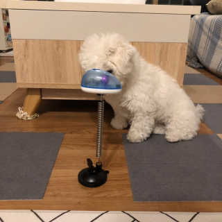 young님이 올린 리뷰 사진 2