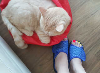 달님님이 올린 리뷰 사진 1