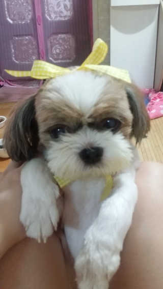 초보마로님이 올린 리뷰 사진 3