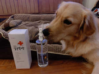 [펫토리아]살균뚝딱 강아지 고양이 살균소독제 탈취제 — 5점을 준 리뷰어가 2019년 10월 올린 사용 사진